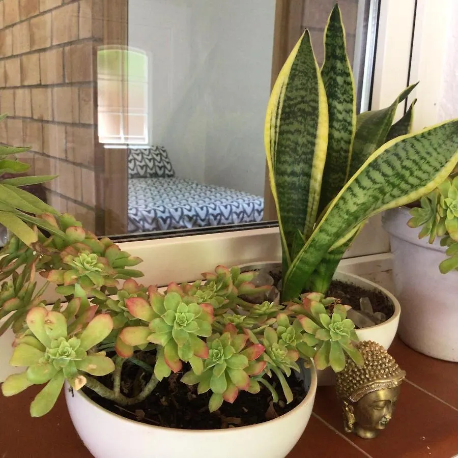 Holiday Home Paquita Sb Riumar Hiszpania